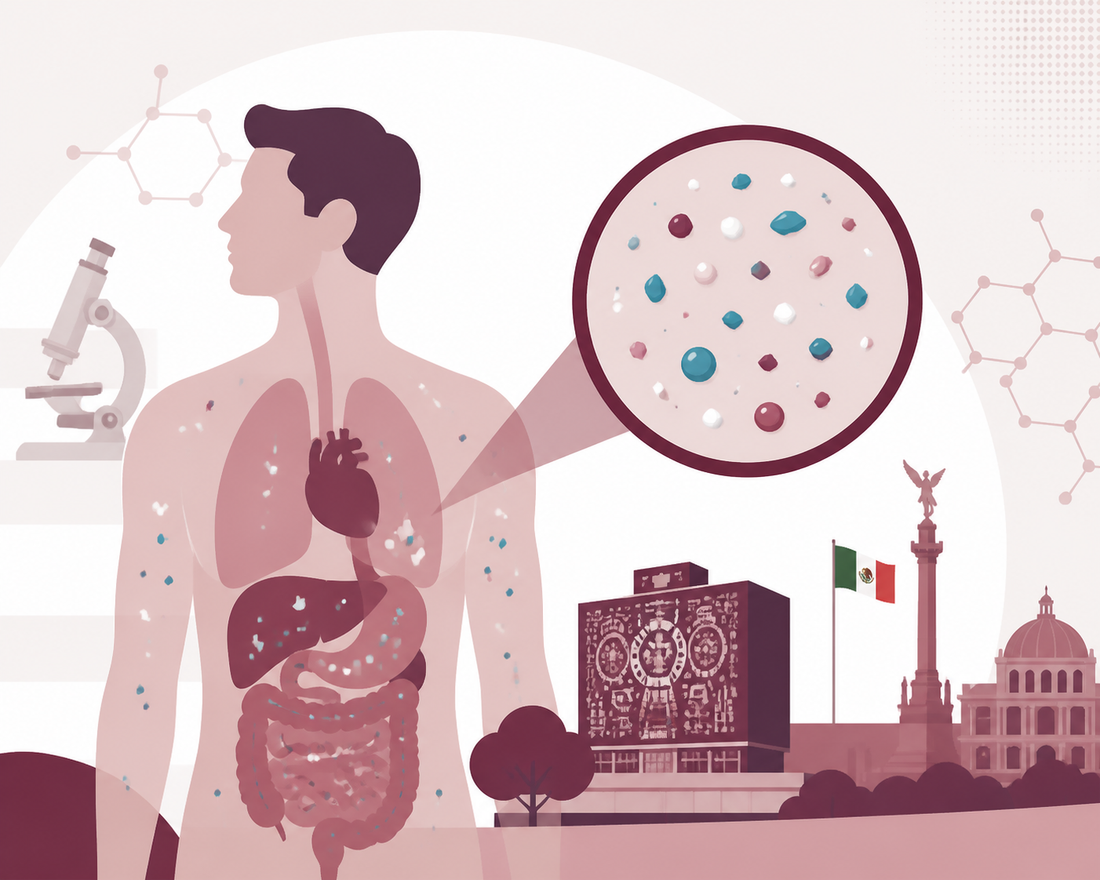 Micro y nanoplásticos ya circulan en el organismo: estudio del IPN